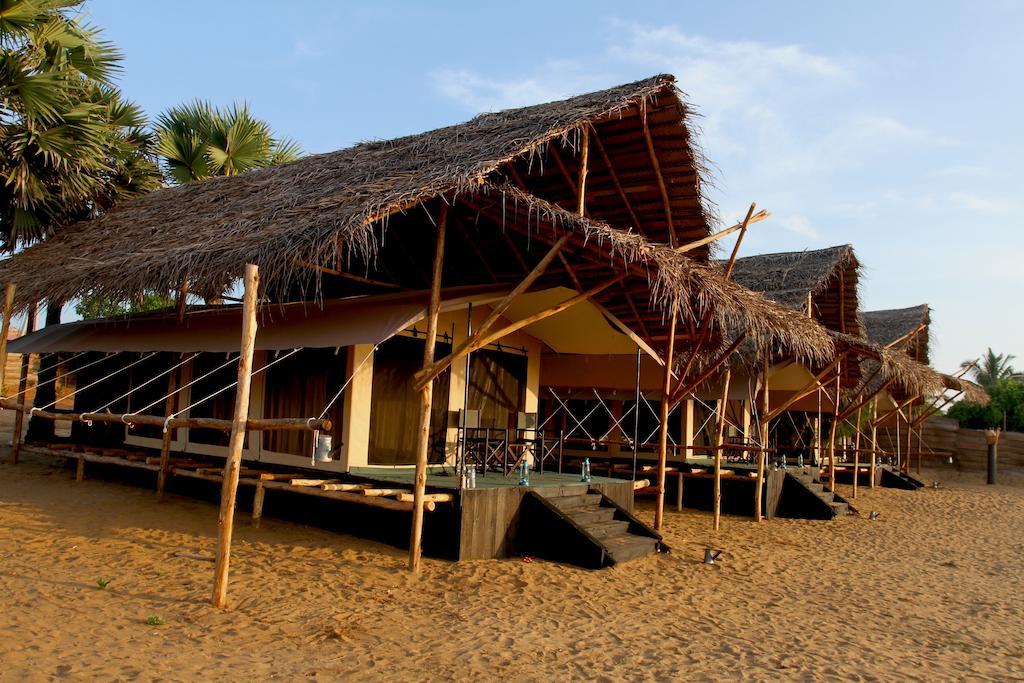 The Beach Camp Yala كيريندا الغرفة الصورة